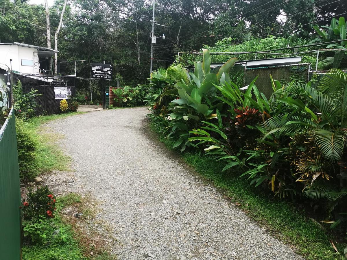 Cabinas Cafe Del Mar Hotel Manuel Antonio Exterior photo